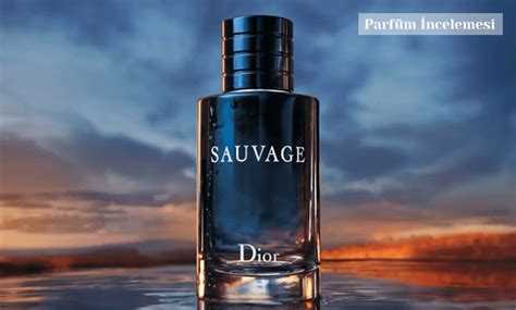 dior sauvage yorumları